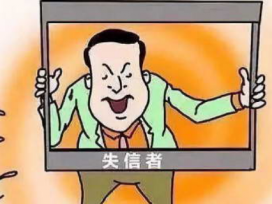 老赖出行受阻(老赖出行受限问题凸显)