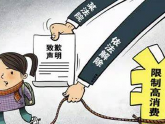 限高怎么申请临时坐飞机(限高后如何申请临时乘机许可)