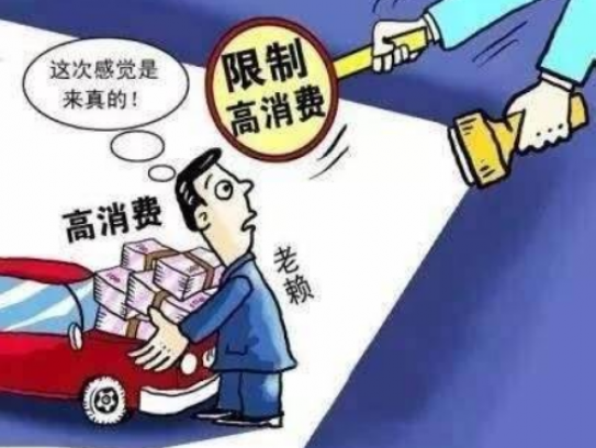 限高令法人自费出行如何申请(限高令法人自费出行申请指南)